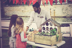 13339504_294477427561732_484698215478913711_n