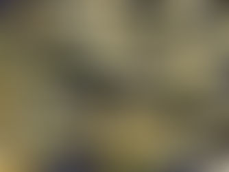 Avancée des connaissances sur la nobilétine (Polymethoxyflavone) – Poudre de shikuwasa