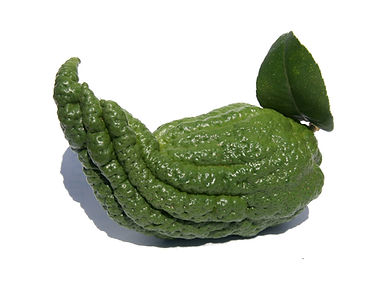 main bouddha fermée.jpg