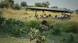 BOTSWANA SAFARI 2024