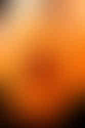 WV4Y0032MIRccrflt