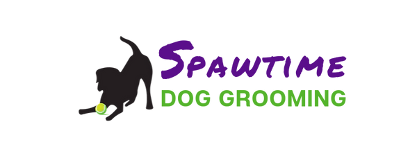 Spawtime logo - refresh horizontal (v2)_