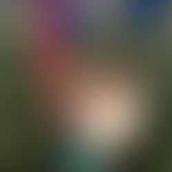 7 Holiday Myths We’re Done Believing: A Healthier December Starts Here