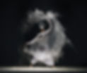 YIN YANG QI GONG AdobeStock_213442529.jp