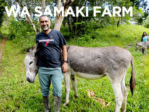 Exploring Wa Samaki Ecosystems' Permaculture Farm in Freeport, Trinidad and Tobago