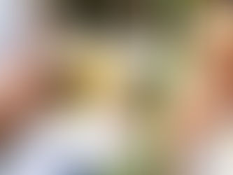 Tasty Snacks, Handcrafted Gifts & Essentials at Green Market Santa Cruz in T&T | Foodie Finds