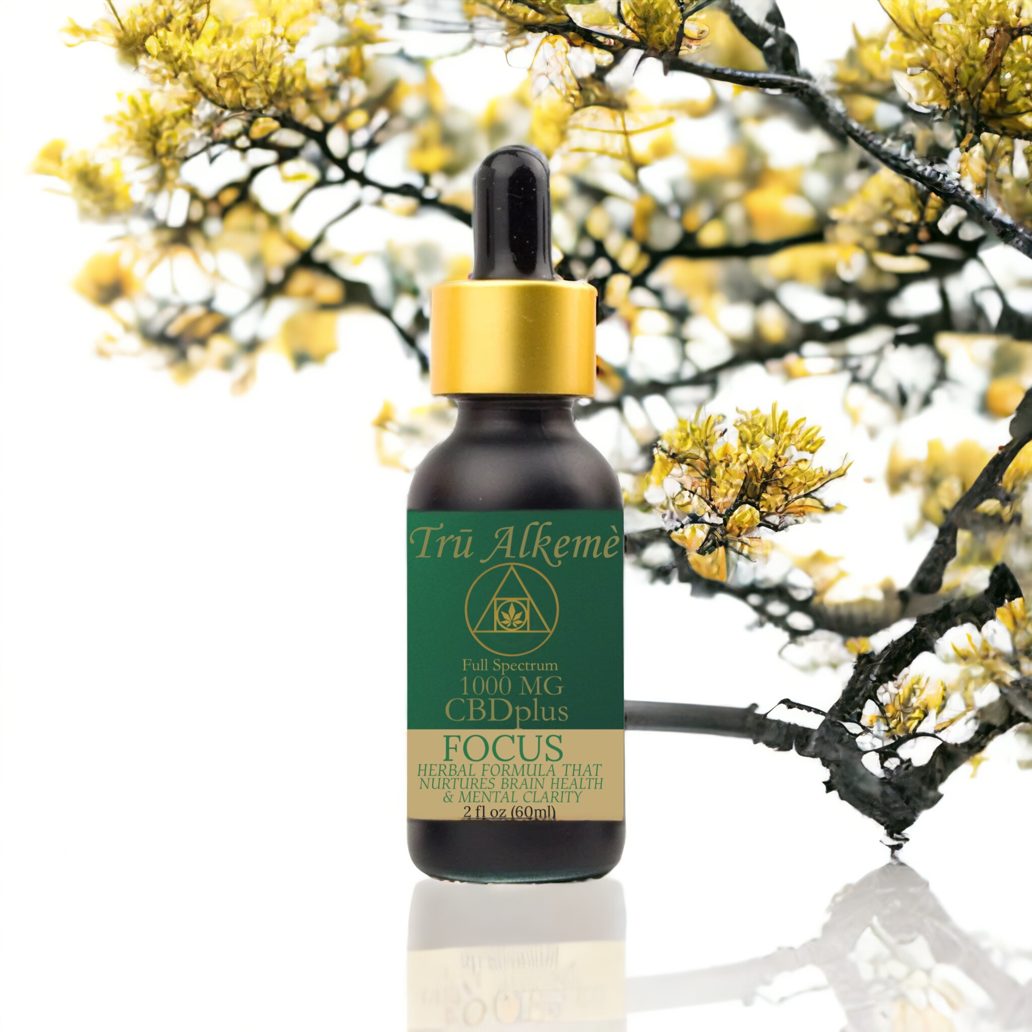 Focus CBDplus Tincture