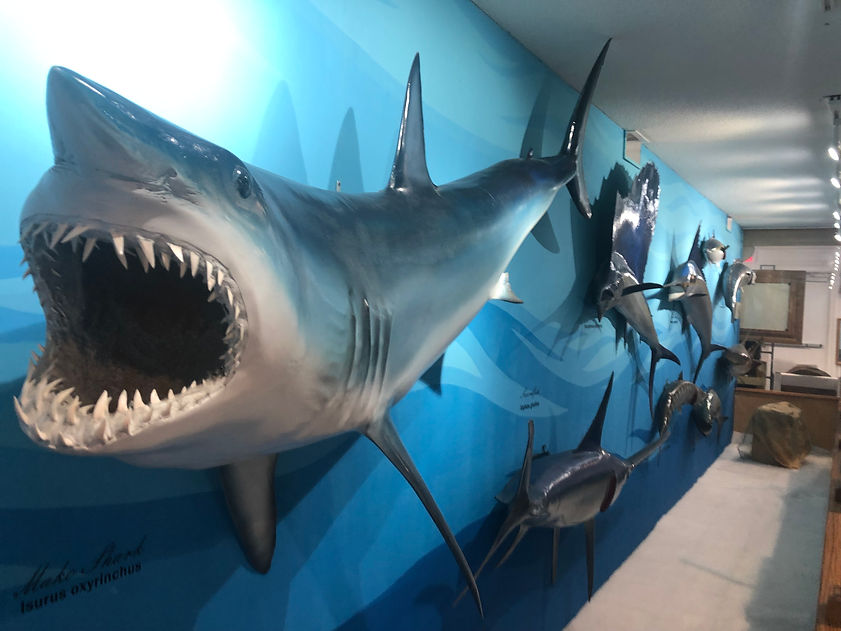 Mike_Long_Memorial_Fish_Wall.jpg