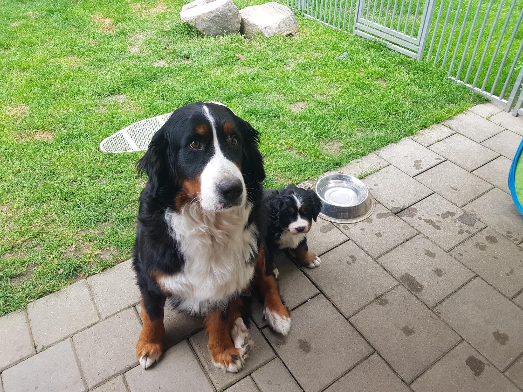 Rani mit Yaba