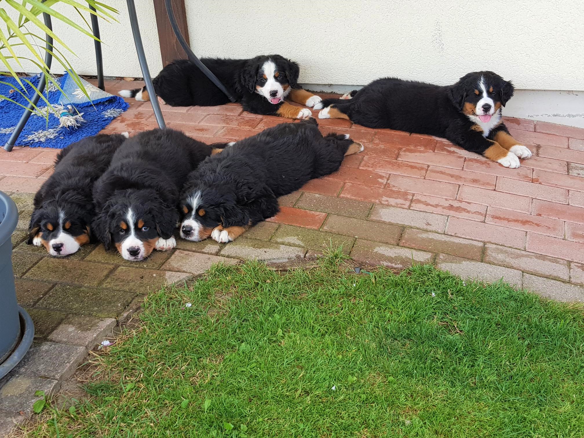Besuch bei Mama Luz' Zuhause