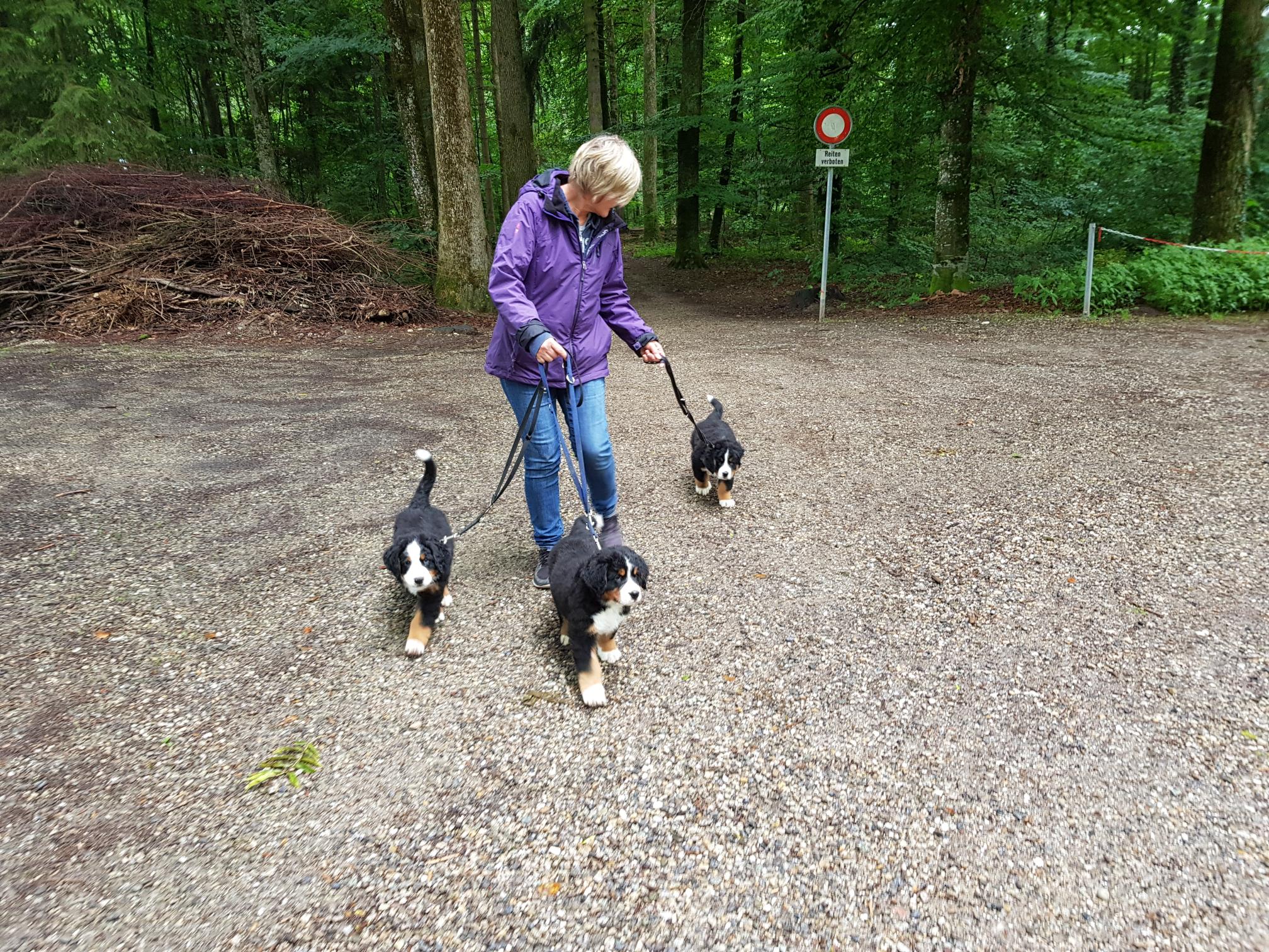 Erster Spatziergang im Wald