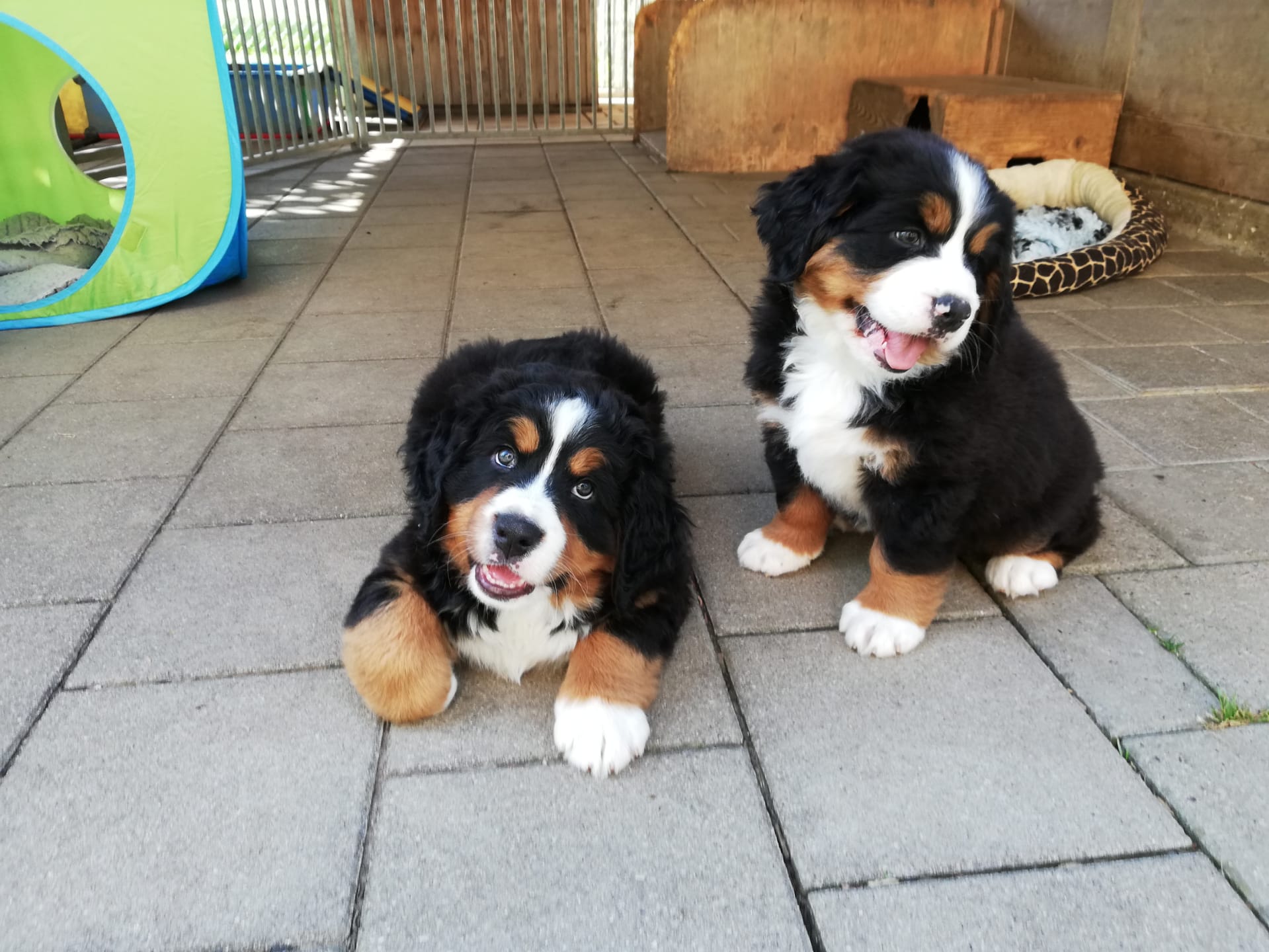 IMG-20190627-WA0004