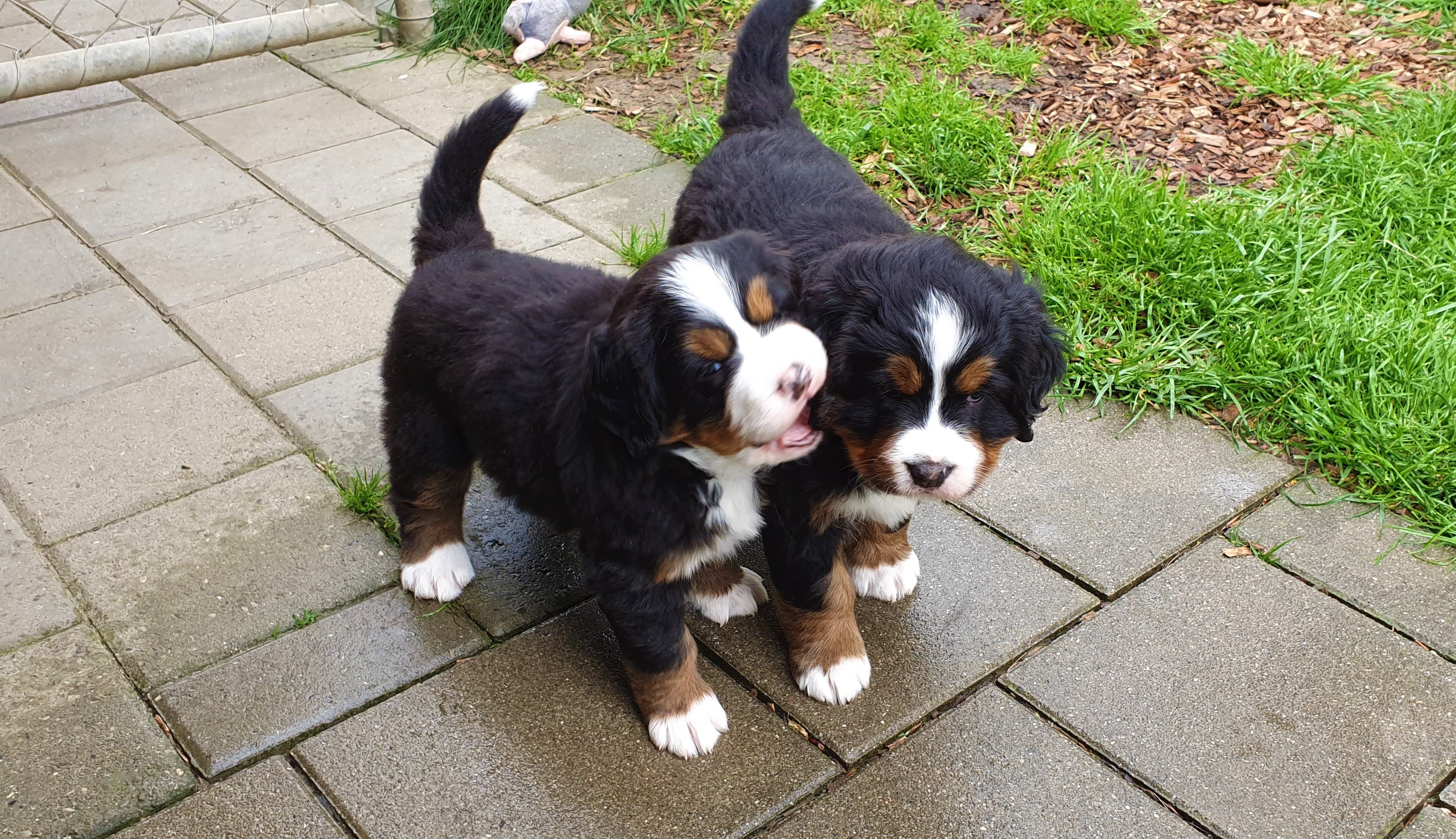 beim Spielen :)