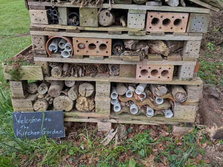 Why Building a Bug Hotel is a Great Activity for Your Team