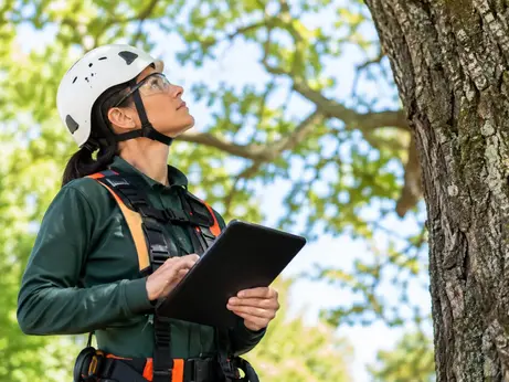 Arborist Credentials Review for Safer Tree Care