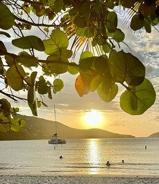 Connecting with Nature: The Power of Embracing the Elements for Healing