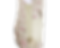 Miniaturebillede: Beige/grøn smækbuksshorts Elegante
