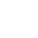 CNRS.png