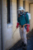 _40A4192copy.jpg