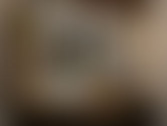 The Sculpted Sanctuary Residential Living Room Design