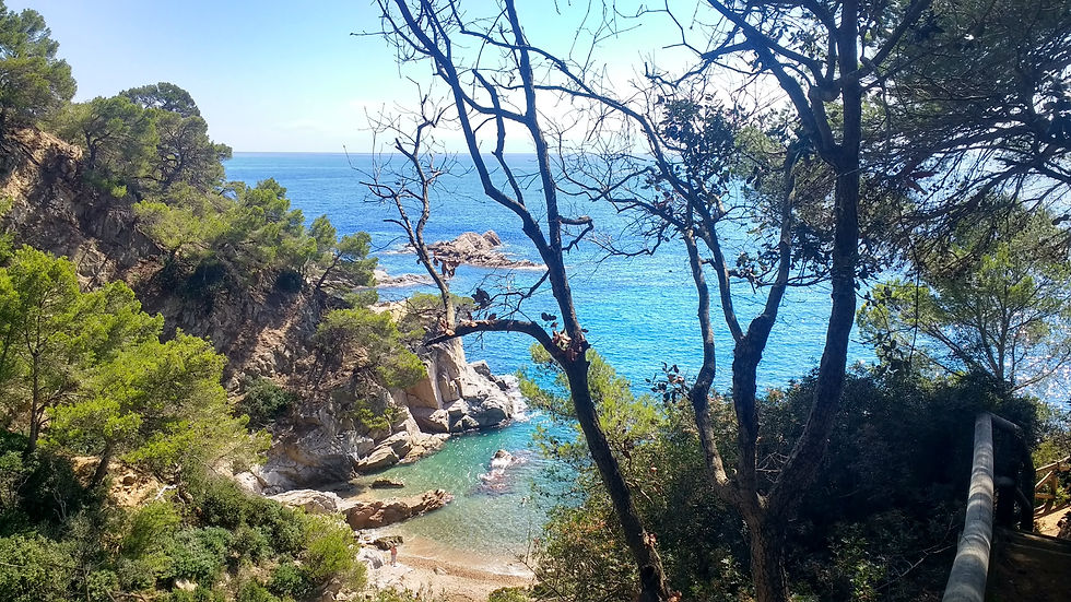 A Beautifully Secluded Beach on the Costa Brava.