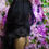 Thumbnail: MISS BANKS