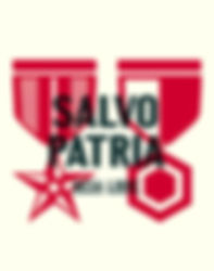descarga