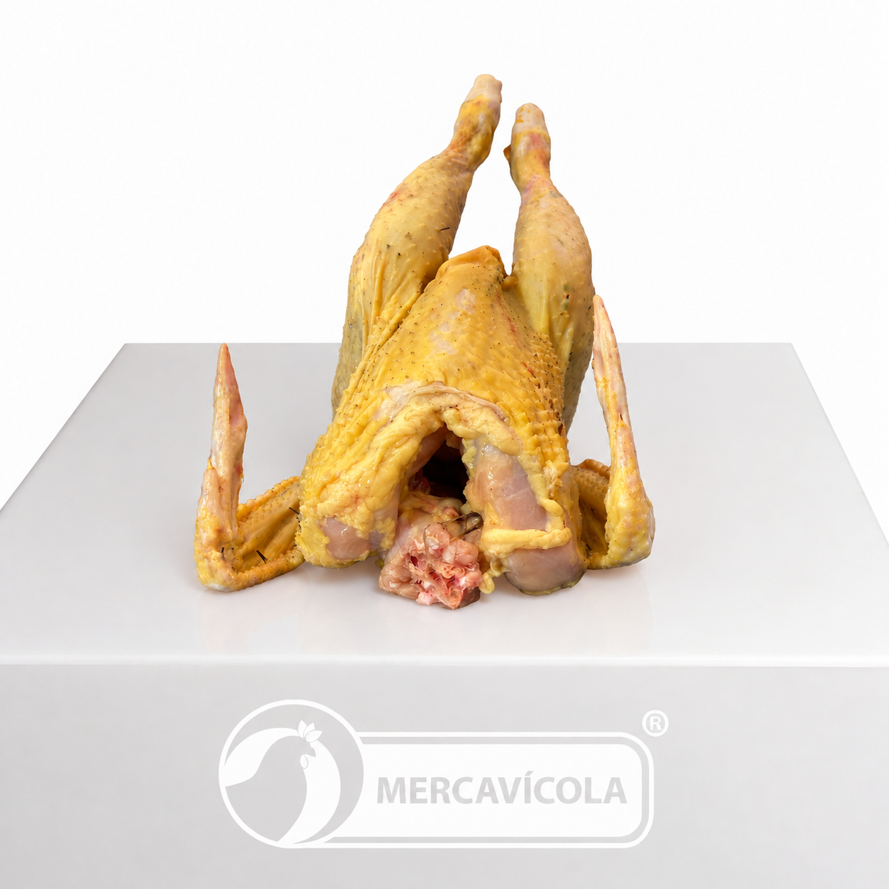 Pollo 100% criollo de pastoreo / Unidad