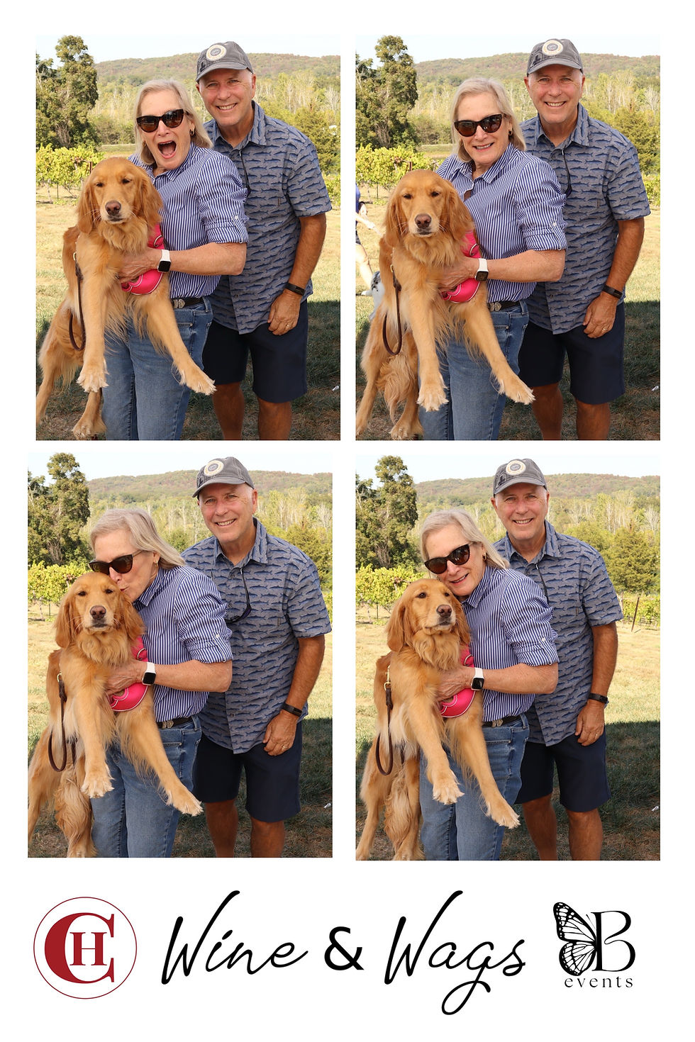 Wine, Wags & Wagging Tails at Chandler Hill Vineyard! 🍷🐶