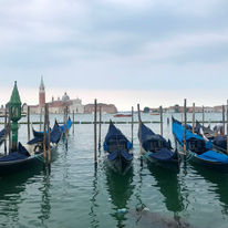 IMG_0532.jpeg