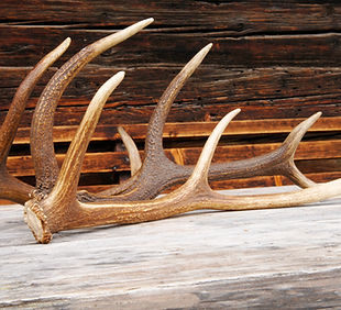Antlers