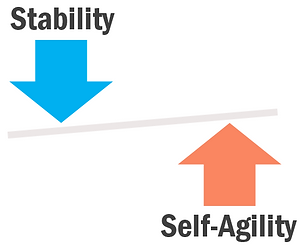 Stability_Self-Agility_balancing_act.png