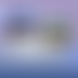 定額シンプルコース