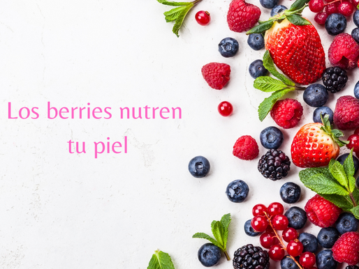 ¿Quién controla tu alimentación?