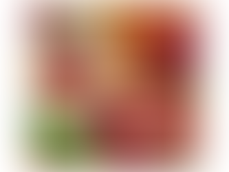 ¿Qué es lo mejor para el sistema circulatorio?