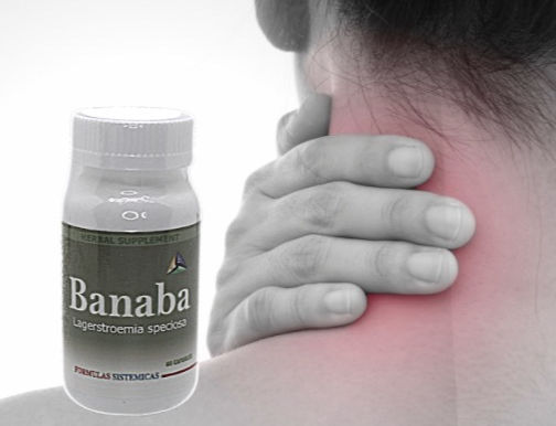 Minimiza el dolor con adaptógenos