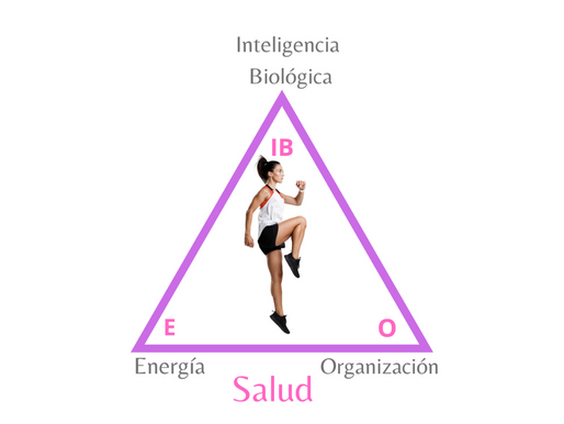 ¿Qué es la salud?