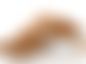 Conoce sobre los beneficios de la micoterapia