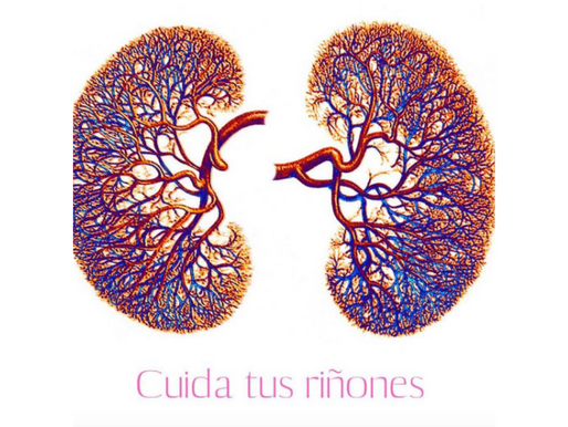 Beneficios de la Terapia Nano Electrónica en la insuficiencia renal