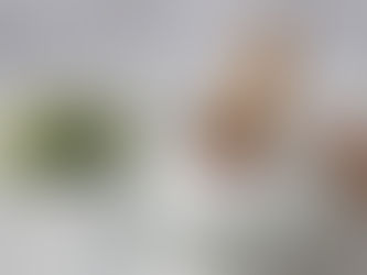 Cuida el sodio en tu dieta