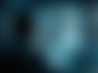 The Role of VIP Protection Solutions