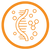 Zellkommunikation.png
