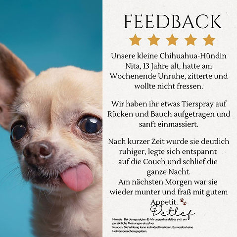 Zittern Bauchweh.jpg