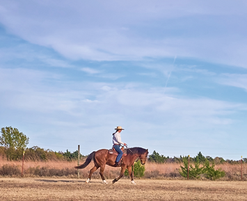 Screenshot 2026-01-27 121434.png