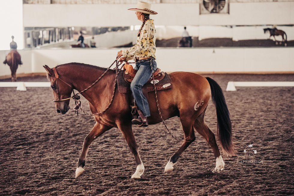 Jennifer believes horses are remarkable teachers. When we listen to them, we begin to understand how to communicate with clarity and respect.