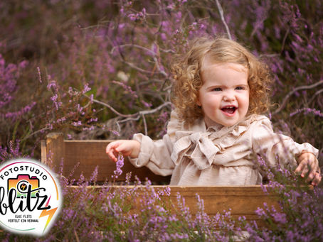 Heide-shoot