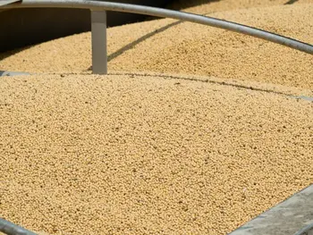 China Imports No U.S. Soybeans for Third Month; Argentine Arrivals Up 634%