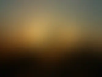 How Farmers Should Respond to Soybean Rally, According to Market Analyst