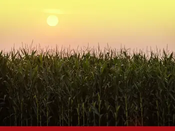 3 Big Things Today, Oct. 17, 2025