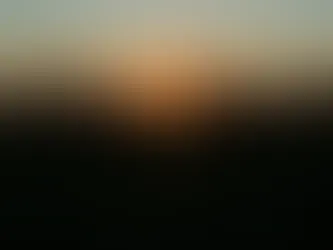 Farm Economy to Stabilize in 2026, Ag Economists Predict